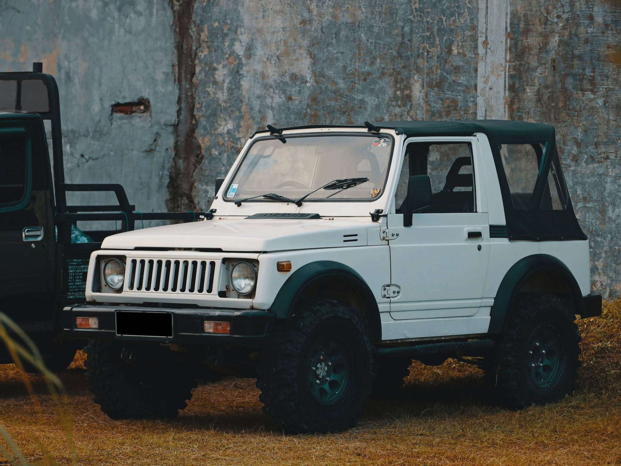 background suzuki